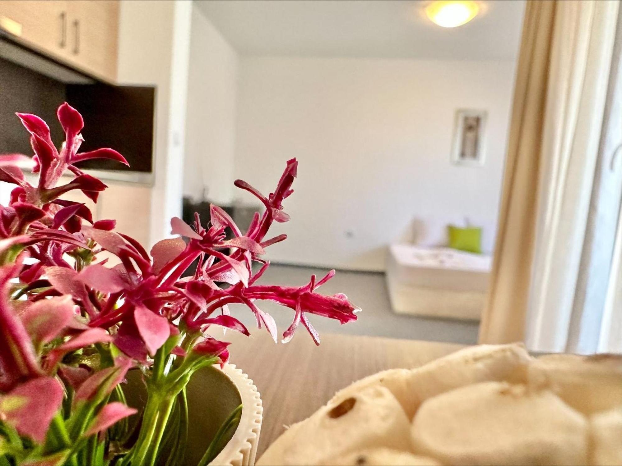 Apartment Menada In Marina Cape Aheloy